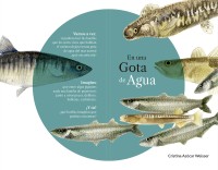 En una Gota de Agua