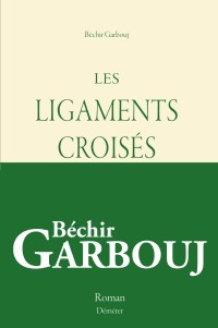 Les ligaments croisés